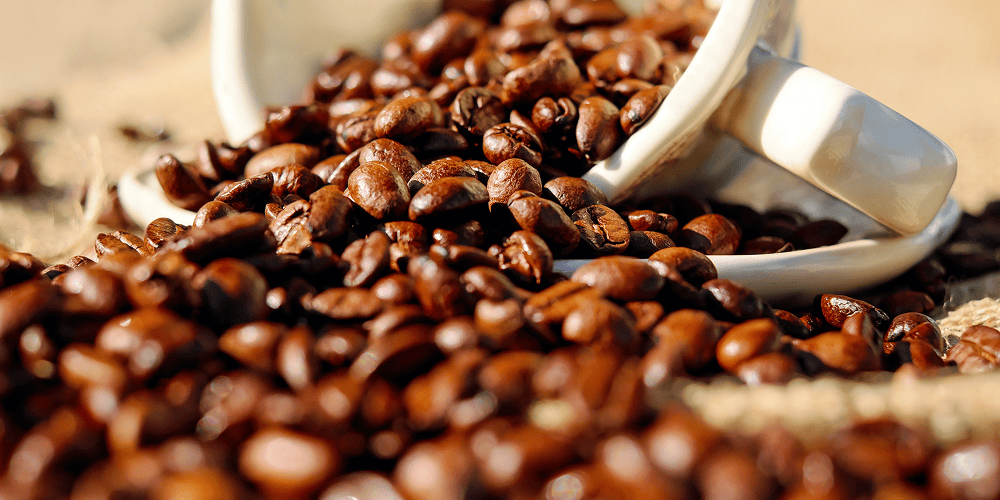 abaquacoffee.com